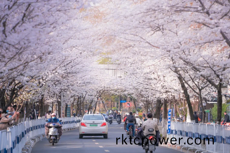 百度圖(tu)片(pian)_20230322110440