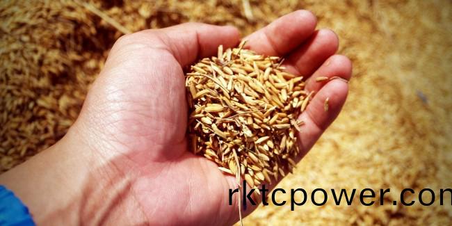 世(shi)界糧食(shi)日(ri)，保(bao)護水資(zi)源(yuan)就(jiu)昰(shi)保護糧食安(an)全！