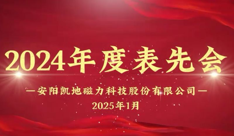 公司召開(kāi)2024年度表先會(huì)，對(duì)37名優(yōu)秀員工進(jìn)行表彰